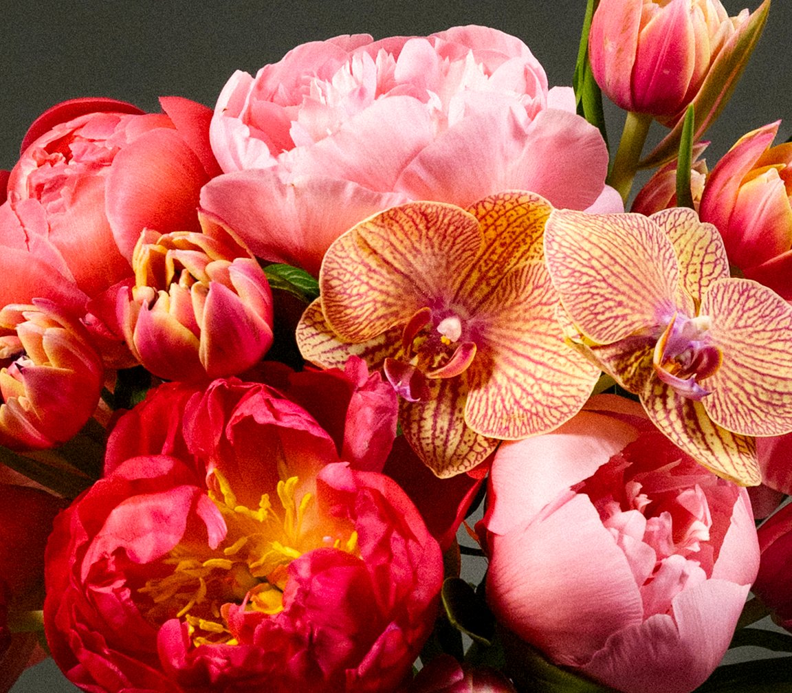 Spring Flower Offerings – Amaranth